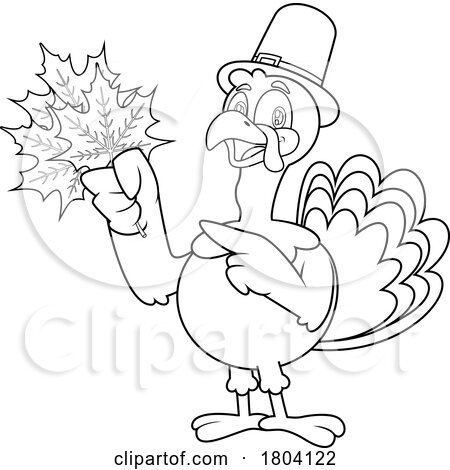 Cartoon Black and White Thanksgiving Pilgrim Turkey Bird Mascot Holding Autumn Leaves by Hit Toon