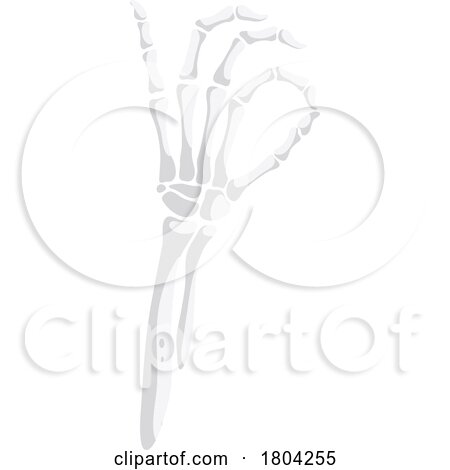 Halloween Skeletal Hand by Vector Tradition SM