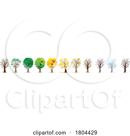 Tree Shown Throughout the Seasons of the Year by Vector Tradition SM