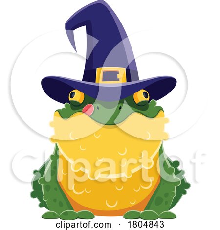 Toad Wearing a Witch Hat by Vector Tradition SM