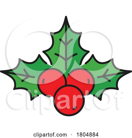 Christmas Holly by Vector Tradition SM