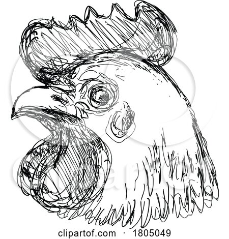 Leghorn Chicken or Hen Head Side View Drawing by patrimonio