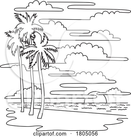 Palm Trees in Hollywood Beach in South Florida Mono Line Art by patrimonio
