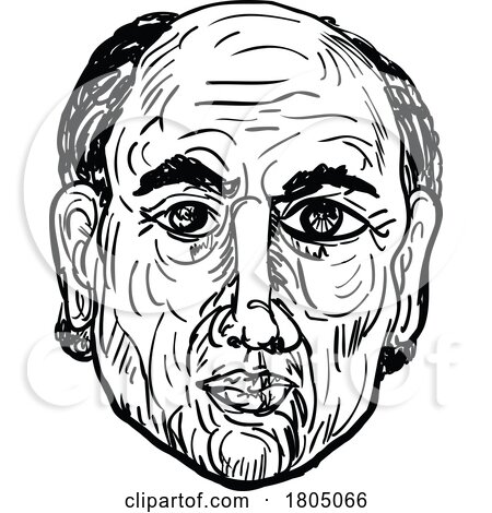 Caucasian Bald Man Head Front View Drawing by patrimonio