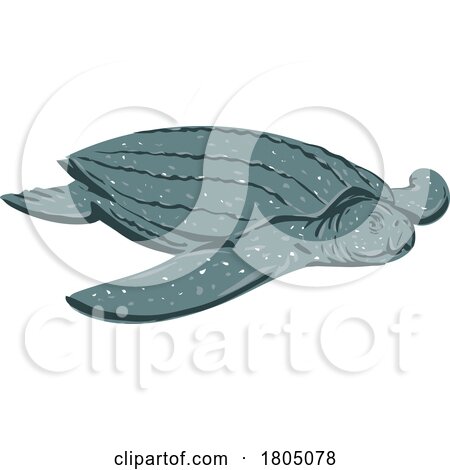 Leatherback Sea Turtle Dermochelys Coriacea or Lute Turtle Front View WPA Art by patrimonio