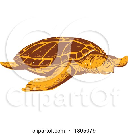 Loggerhead Sea Turtle or Caretta Caretta Front View WPA Art by patrimonio