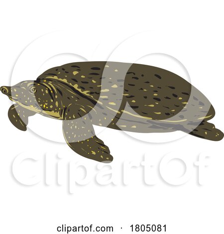 Asiatic Softshell Turtle or Southeast Asian Softshell Turtle Side View WPA Art by patrimonio