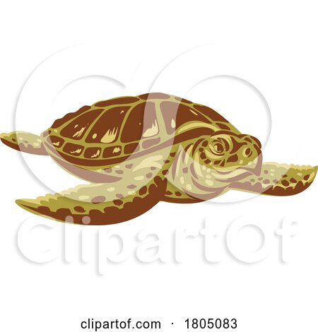 Kemps Ridley Sea Turtle or Atlantic Ridley Sea Turtle Front View WPA Art by patrimonio