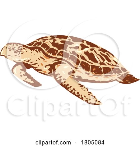 Hawksbill Sea Turtle or Eretmochelys Imbricata Side View WPA Art by patrimonio
