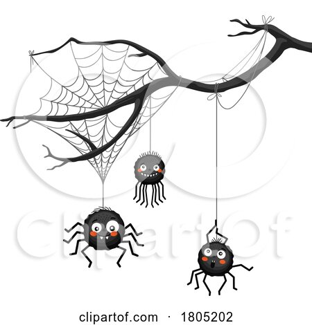 Suspended Spiders from a Branch by Vector Tradition SM