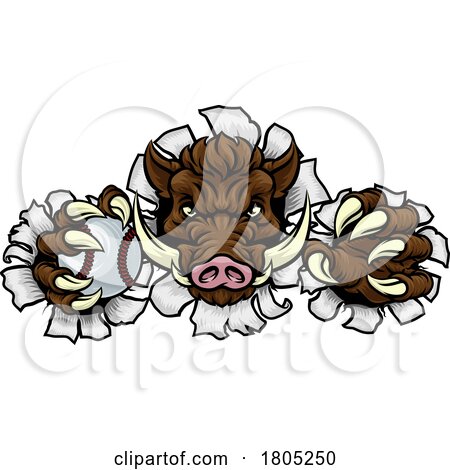 Boar Wild Hog Razorback Warthog Baseball Mascot by AtStockIllustration