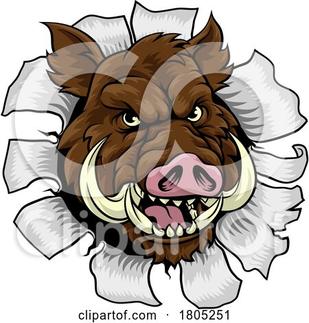 Boar Wild Hog Razorback Warthog Pig Sports Mascot by AtStockIllustration