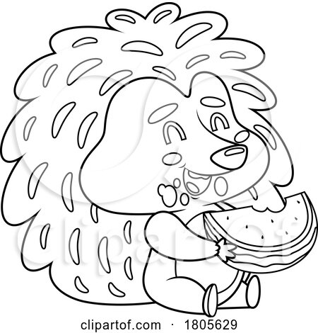 Cartoon Black and White Hedgehog Eating Watermelon by Hit Toon