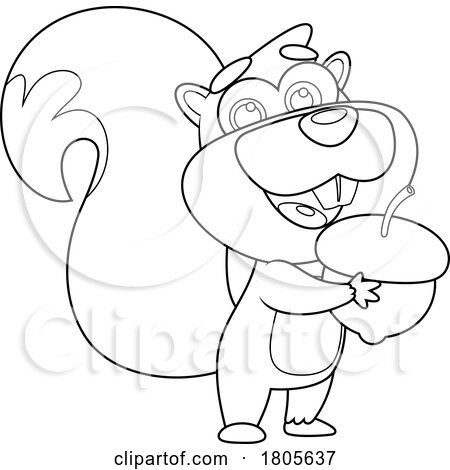 Cartoon Black and White Squirrel Holding an Acorn by Hit Toon