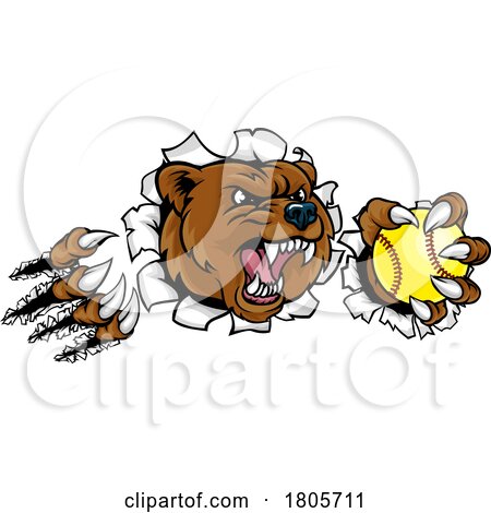 Bear Softball Animal Sports Team Mascot by AtStockIllustration