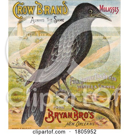 Crow Advertisement for Molasses by JVPD