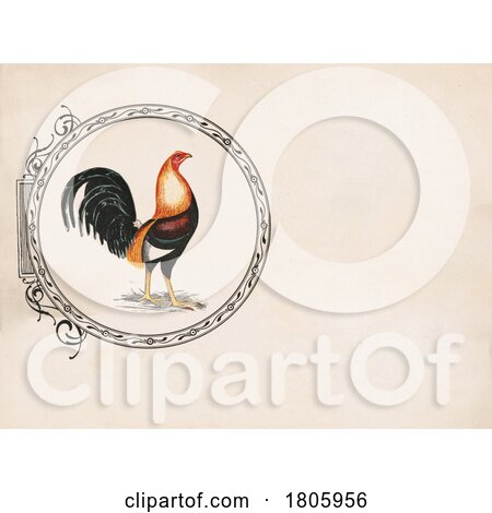 Rooster in an Ornate Frame with Text Space by JVPD