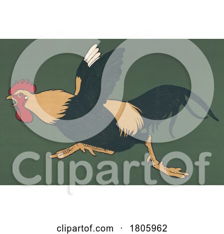 Running Rooster by JVPD