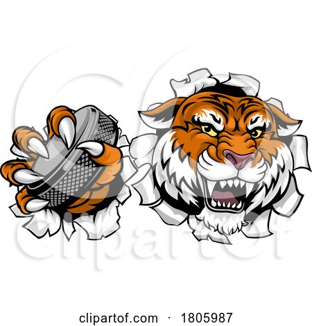Tiger Ice Hockey Team Sports Cartoon Mascot by AtStockIllustration