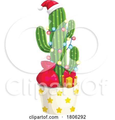 Potted Christmas Cactus Plant by Vector Tradition SM
