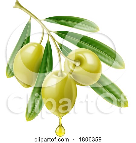 3d Olives with an Oil Drop by Vector Tradition SM