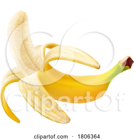 3d Banana by Vector Tradition SM