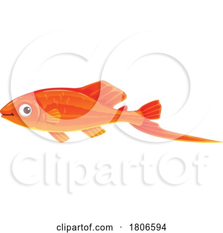Swordtail Fish by Vector Tradition SM