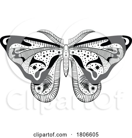 Black and White Mystic Celestial Moth by Vector Tradition SM