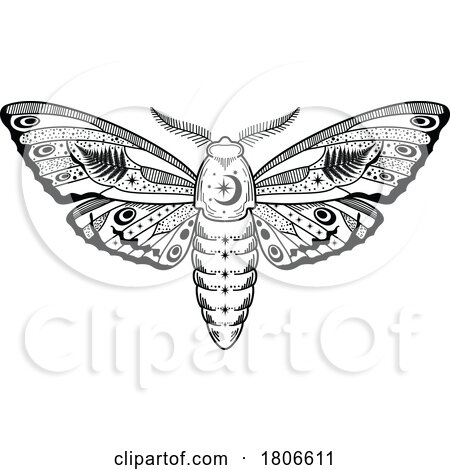 Black and White Mystic Celestial Moth by Vector Tradition SM