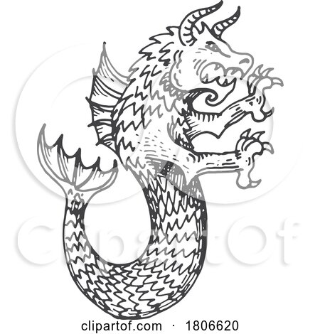 Sketched Heraldic Sea Dragon by Vector Tradition SM