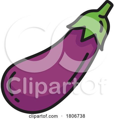 Purple Eggplant by Vector Tradition SM