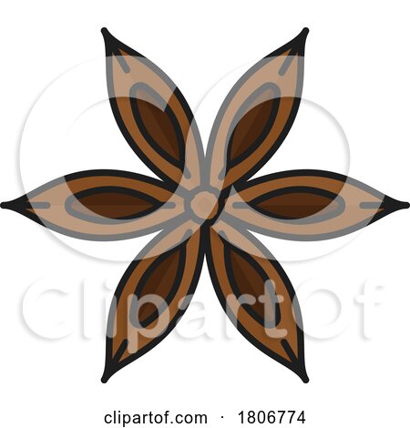 Star Anise by Vector Tradition SM