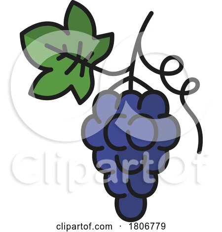 Grape Icon by Vector Tradition SM