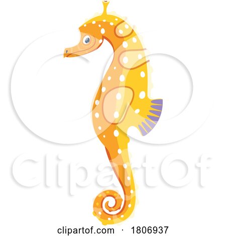 Seahorse by Vector Tradition SM