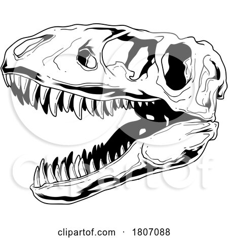 Black and White T Rex Skull by Hit Toon
