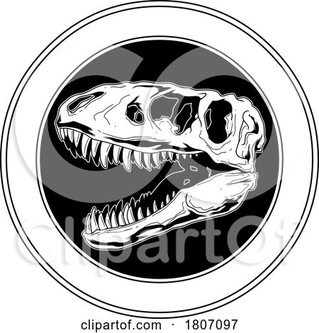 Black and White T Rex Skull by Hit Toon