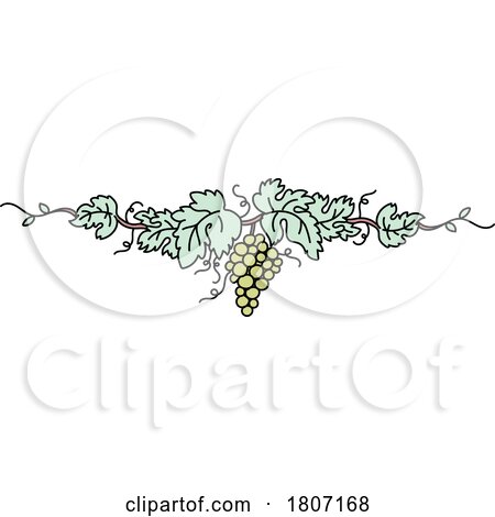 Green Grape Vine Design by Domenico Condello