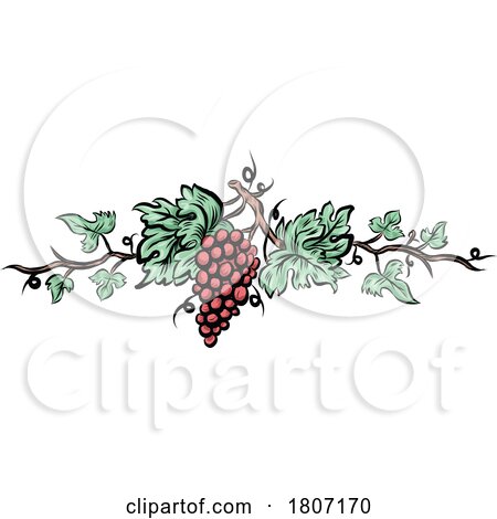 Red Grape Vine Design by Domenico Condello