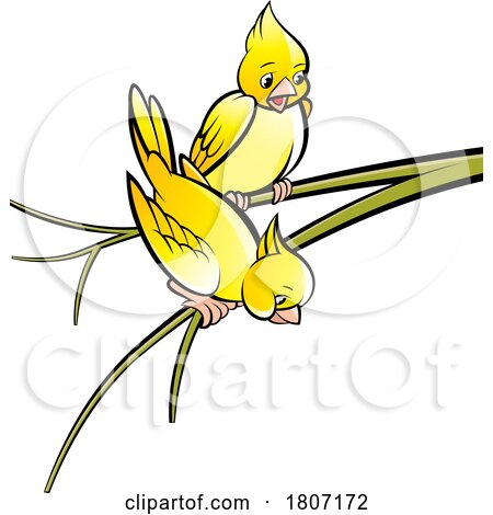 Yellow Birds on a Branch by Lal Perera