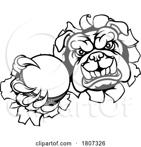 Bulldog Dog Animal Cricket Ball Sports Mascot by AtStockIllustration