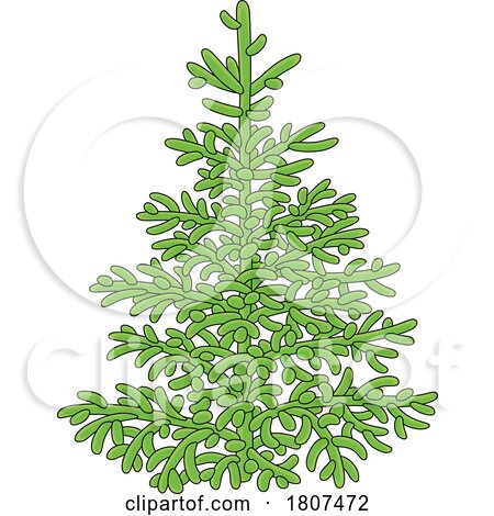 Cartoon Evergreen or Christmas Tree by Alex Bannykh