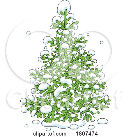 Cartoon Snow on an Evergreen or Christmas Tree by Alex Bannykh