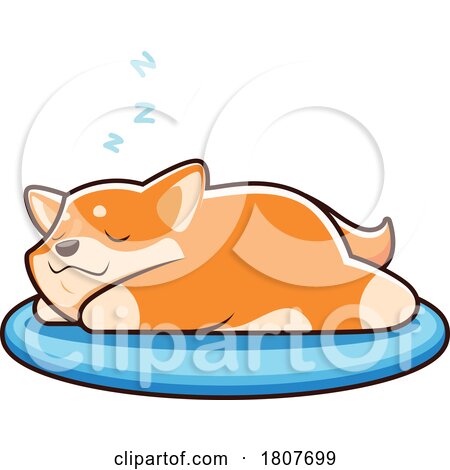 Shiba Inu Dog Sleeping on a Bed by Vector Tradition SM