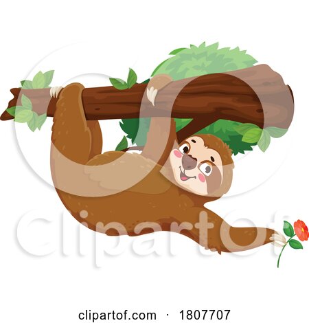 Sloth Hanging from a Branch with a Flower by Vector Tradition SM