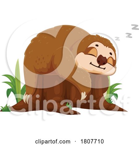 Sloth Sleeping on a Tree Stump by Vector Tradition SM