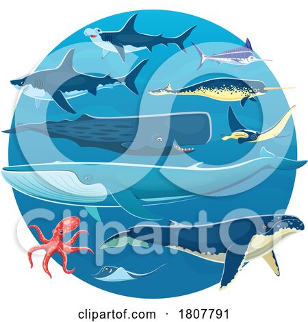 Rays Octopus Tuna Sharks Narwhal and Whales by Vector Tradition SM