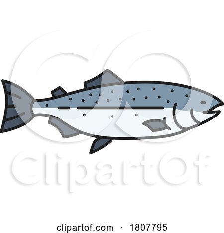 Salmon or Trout Fish by Vector Tradition SM