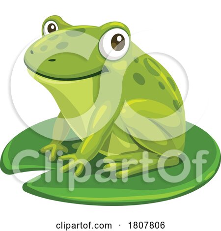 Happy Frog on a Lily Pad by Vector Tradition SM