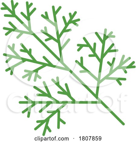 Dill by Vector Tradition SM