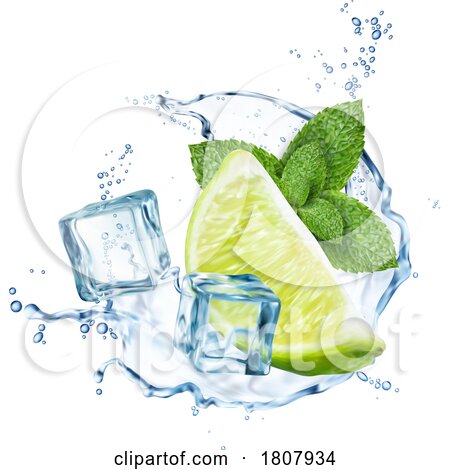 3d Water Splash with Ice Cubes Mint and Lime by Vector Tradition SM
